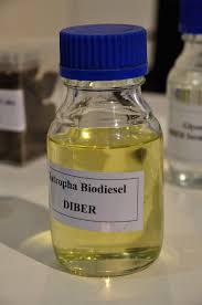 biodiesel